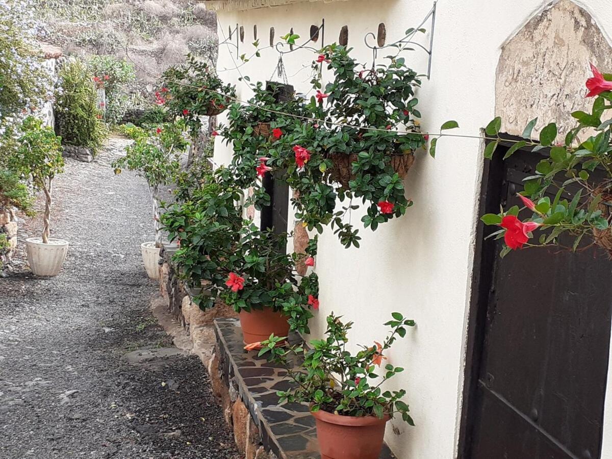 Casa La Fuente Villa Arona  Exterior foto